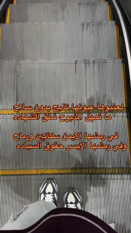#المدينه_المنوره #A #fypシ゚ #العروبه #عيونها #عيون_المها 