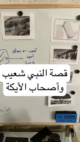 قصة النبي شعيب و أصحاب الأيكة #دويع_العجمي #ملفات_القضاء #شعيب #fyp #explore #قصص_الانبياء 