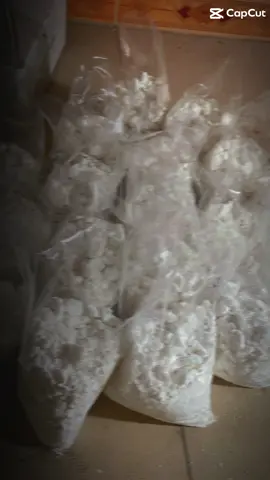 #thịnhhanhtiktok 2024 #🥰🥰🥰🥰❤️❤️❤️ ###xuhuongtiktok ##laligasantander 