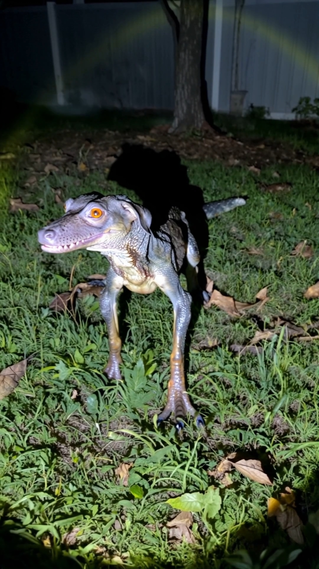 Found in my backyard #creepypets #pets #creepy #scary 
