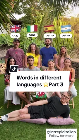 How do you say these in your language? Follow for PART 4 in the series 🇬🇧🇮🇹🇪🇸🇦🇷🇧🇷🇵🇹🇩🇪🇫🇷🏴󠁧󠁢󠁷󠁬󠁳󠁿 How do you say these words in your language can you think of any other interesting words? Let us know in the comments👇💬 Special thanks to all the teachers involved: 🇬🇧@britishenglishgreg  🇮🇹 @intrepiditalian 🇪🇸 @Spanish Teacher  🇦🇷 @Hola Spanish  🇧🇷 @Virginia Langhammer  🇵🇹 @Portuguese With Leo  🇩🇪 @Natalia  🇫🇷 @French Mornings with Elisa 🏴󠁧󠁢󠁷󠁬󠁳󠁿🏴󠁧󠁢󠁷󠁬󠁳󠁿@Dr Popkins   #italian #english #german #french #portuguese #brazilianportuguese #spanish #welsh #learngerman #learnfrench #germanteacher #frenchteacher #learnitalian #italianteacher #learnspanish #spanishteacher #argentinian #learnwelsh #learnportuguese #portugueseteacher #englishteacher #learnenglish #italianwords #frenchwords #germanwords #portuguesewords #englishwords #spanishwords  #LanguageLearning #learnlanguages 