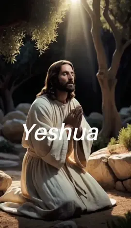 Yeshua #jesuschrist  #prayer  #gardenofgethsemane  #jesusprayer  #bible  #yesuskristus  #yesusberdoaditamangetsemani  #tiktokkristen  #fypkristen  #fyp 