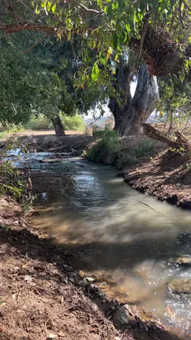 طبيعه