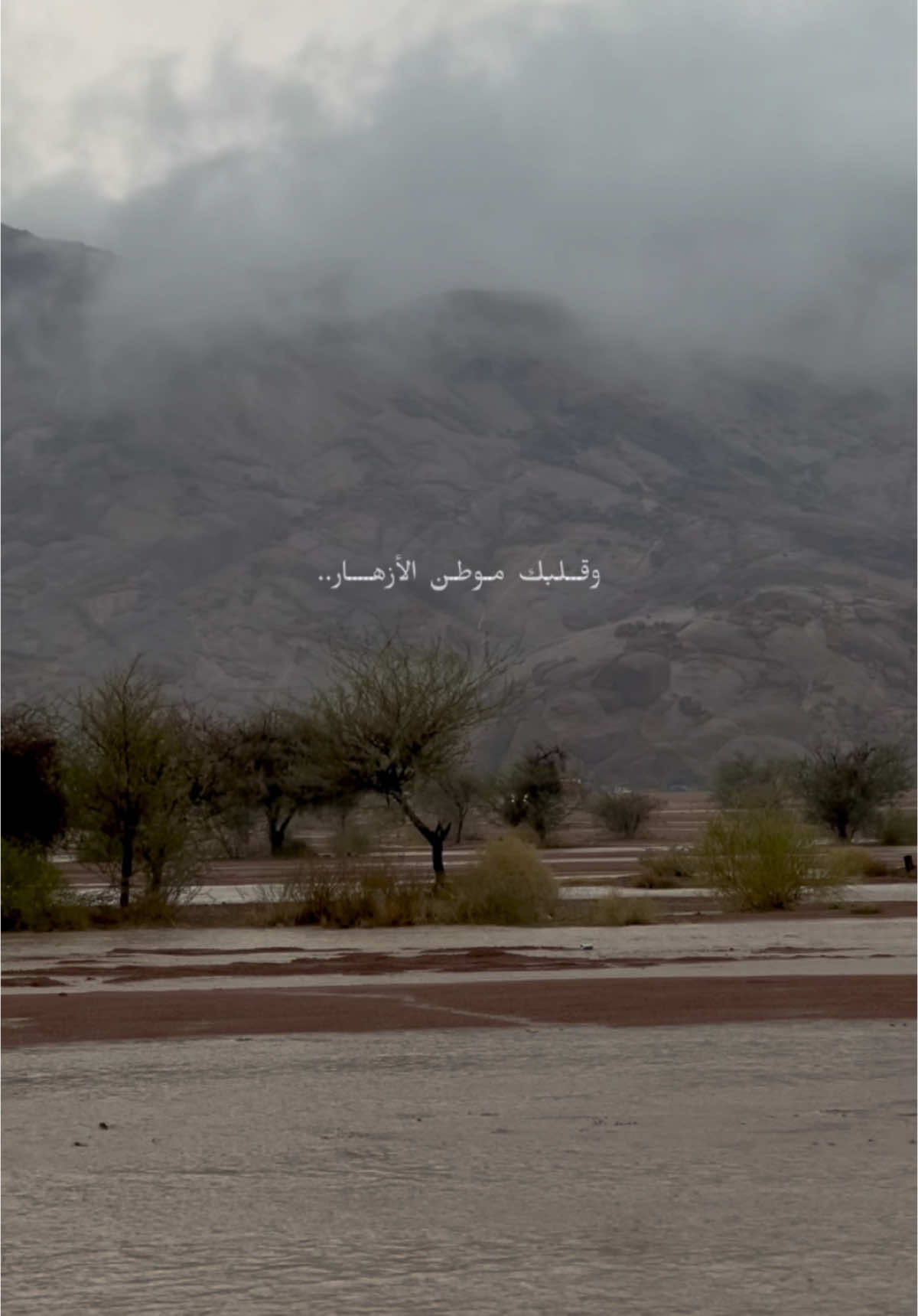 #fyp #السعودية #شعر #حائل #بدون_موسيقى 
