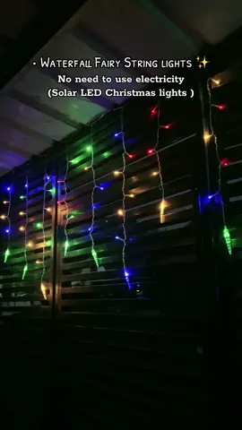 Christmas Decor 🎅🎄 #christmas #christmasdecor #christmaslights #solar #fyp #foryou #foryoupage 