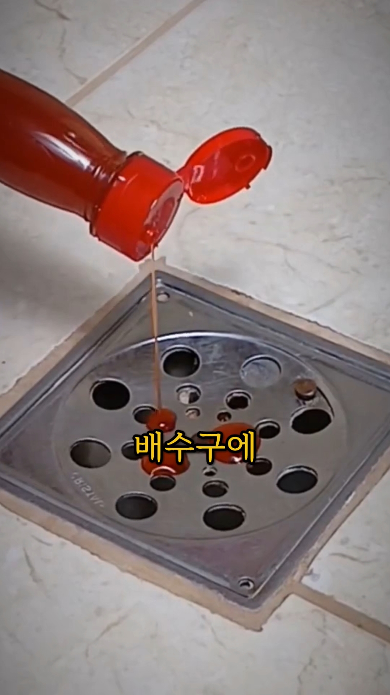 백종원도 모르는 배수구에 캡사이신을 넣는 이유#꿀팁 #생활꿀팁 #지식 #백종원 