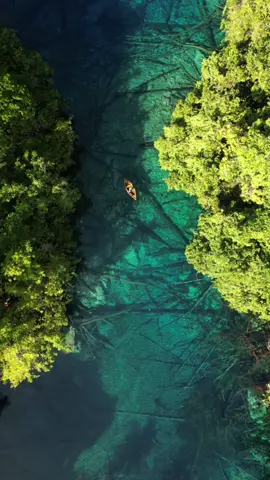 In the local language, “Paisu Pok” means “Black Water”. But can you see the contradiction? 🤩🍃🌴 • The Magical Clearest Lake in The World 🌏📍Paisu Pok Lake, Banggai Islands, Central Sulawesi, Indonesia 🇮🇩 #paisupok #paisupoklake #banggaindonesia #banggaikepulauan #folkscenery #wonderful_places #exploreindonesia #beautifuldestinations #amazingplaces #pesonaindonesia #wonderfulindonesia #reelsindia #dji #djiera #droneview #fyp @DJI Official @MERMAIDJULANG05 @Pesona Indonesia 