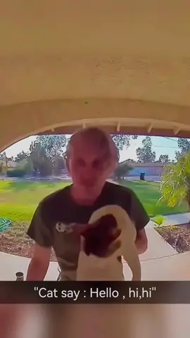 Cats can say🤣🤣#cat #catsoftiktok #cats #funny #for #foryou #fyp #foryoupage #funnyvideo #cute #pet #cutecat #animal #animalsoftiktok #usa🇺🇸 #catlover #tiktokcats #pets #kitten #funnyanimals 