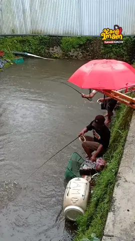 double strek bawal saat hujan #mancing  #mancingbawal  #mancingmania  #mancingborongan  #mancingmaniamantap  #mancingmaniaindonesia  #kangimamtukangmancing 