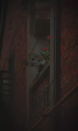 #تصميم_فيديوهات🎶🎤🎬 #ستوريات #هادئه #تصميمي #ميوزك #منوعات #سالى_خليل #وتغيب_عن_عيني_لاكن_جوايا_حبيبي_ساكن #fypシ゚ #fyp #foryour #follow #viraltiktok #explorepage #مصر🇪🇬 #اسكندريه #الامارات #لبنان🇱🇧 #الصين_ماله_حل😂 