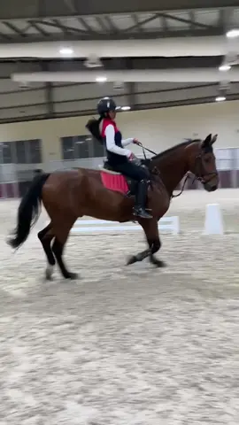 my 🌟 #equestrian #showjumper #fyp #foryoupage #quality #younghorse #fyp #fyp #foryoupage #