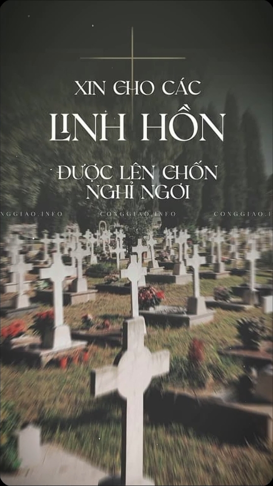 THÁNG 11 - CẦU CHO CÁC TÍN HỮU ĐÃ QUA ĐỜI__ LẠY CHÚA ĐỜI CON LÀ KIẾP THÂN TRO BỤI ,CŨNG TÀN RỤI THEO THỜI GIAN NĂM THÁNG.......#xhtiktok #quocan02050 #tuhaolanguoiconggiao #conggiaovietnam #gpvinhlong #hodaophuochoa #giaohatmaiphop #catholicvietnam #conggiaoyeuthuong #tuhaolanguoiconggiao #vietnam🇻🇳 #vatican🇻🇦 #tiktokconggiao 