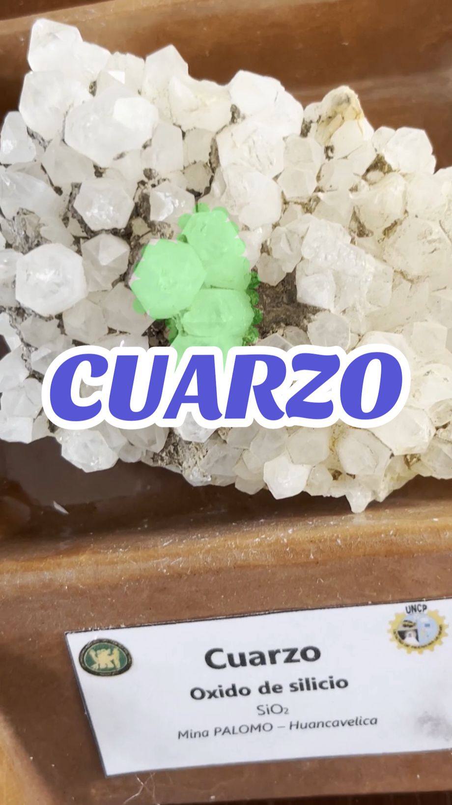 CUARZO_MINERAL_SILICATOS_MATERIALES INORGÁNICOS 🩶🤎 #CUARZO #SILICATOS  #MINERAL #MINERIA #PERÚ #ANTAMINA #TODOELMUNDO #TODASLASMINAS #RAURA #VOLCAN #CHINALCO #FAIM #INGENIERADEMINAS #SEMILLEROSDEINVESTIGACIÓN #CUARZO #MINERALOGIA 