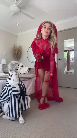 Matching Halloween outfits with my bestie 🐾 🎃 !  Which one should we pick? 1,2,3,4,5 or 6? 🙊 @fashionnova  - Bride To Be 6 Piece Costume Set (559616) 🌹 - Carnations Wrap Up Heels (CARMINA025) 👠 - Pup Beetlejuice Pet Costume (5026FN) 🐶  - Robin Corset Top Costume (887504) 🦇  - Indigo Knee Boots Black (INAYA) 👢  - Pup Batman Dog Costume (580051) 🐶 🦇  - StoryBook Cutie 1 Piece Costume (8909FN) 🧺 👠  - Pup Doggie In A Basket Dog Costume(5026FN) 🐶 👠  - Bad Habits Nun 4 Piece Costume Set (70259) ⛪️  - Strut This Heel Back (FERGIECO) 🥿 - Pup Holy Hound Dog Costume (PET20217) 🐶 ⛪️  - Miss Ring Leader 4 Piece Costume Set (10093) 🎪  - Pup Jungle King Lion Dog Costume (PET20166) 🐶 🎪  - Cruel Mistress 5 Piece Jumpsuit Costume Set (PK2151J) 🐶😈  #fashionnova #halloween #matchingoutfits #dalmatian @FashionNova 