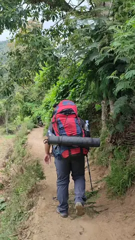 #CapCut #fyp #gununggede #gunuggedepangrango2958mdpl #pendakiindonesia #pendaki #suryakencana 