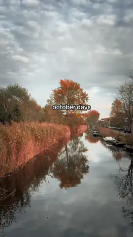 october days 🍂🤎🧺 #october #autumn #fall #bermonths #girly #girlythings #forthegirlies #girlssupportinggirls 