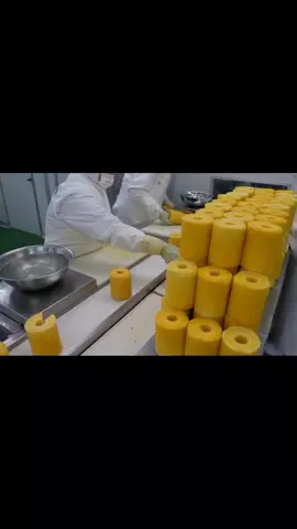pineapple factory #pineapple #factory #work  #trend #viral #fyp #unitedkingdom 