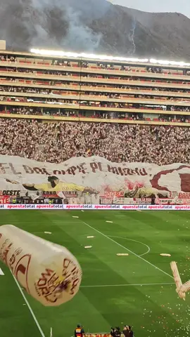 #universitario #centenariocrema #ydaleu 