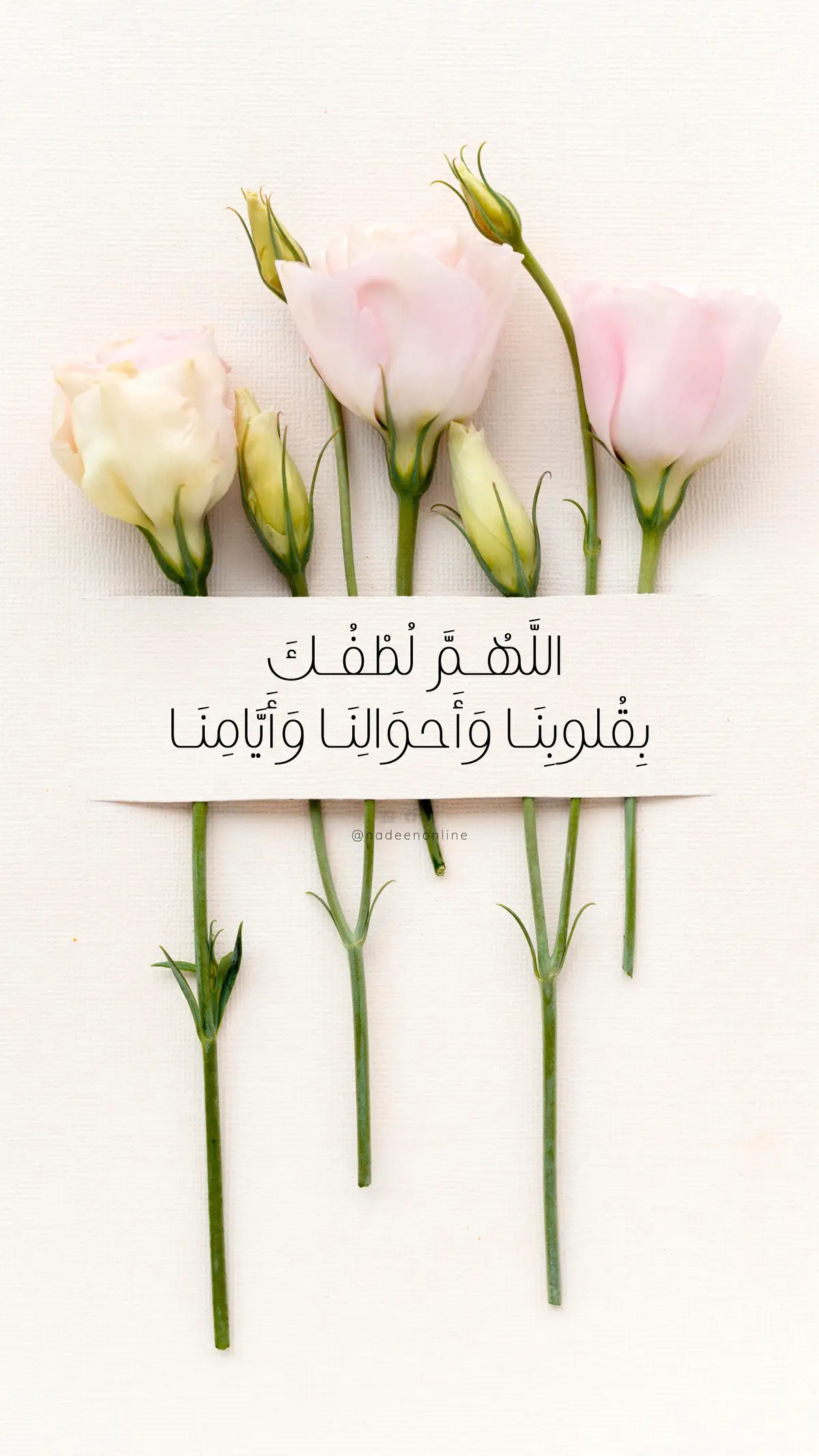 ‏‎#رسالة_لك #رسالة_اليوم #كلمات_راقت_لي #كلمات_ايجابية #foryou #اكسبلور #fyp #nadeenonline  #طاقة_ايجابية #طاقة_إيجابية #رسائل_ايجابية #رسائل_ايجابيه 