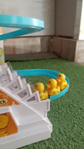 ملاهى البط 🦆🦆🦆