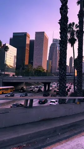 LA 🌴❤️ #LA #losangeles #california 