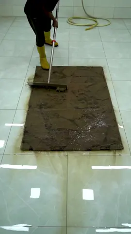 Wait result #satisfying #shorts #soclean #carpetcleaning 