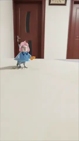 Ania parrot#animation #witstudio #animal #parrot #cute#fyp