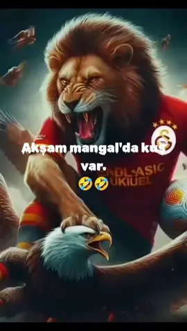 Sizce bu kuşun mangalı mı yahnisi mi güzel olur? 🤣🤣🤣#Galatasaray #beşiktaş #derbi #maç #futbol⚽️ #kartal #aslan #trendyol #süperlig #bpwkpp #fyp5266m 