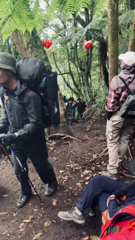 Tolong siapapun ajak aku naik gunung lagi🥺 #sad #pendakigunung #gununggede2958mdpl #gununggede #pangrango #viaputri #pendakiindonesia #gamon #sadvibes🥀 #fyppppppppppppppppppppppp 
