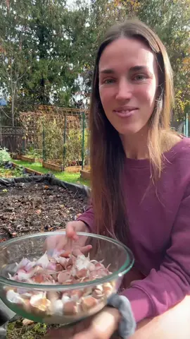 Gardening season feels over but i always plant my garlic in the fall so here we are planting garlic in the quick break from the pouring rain! #garlic #garlicplanting #gardening #growinggarlic 