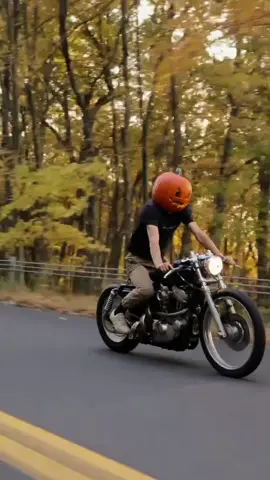 Harley sounded like a lawn mower after the s1k lmao. #superbike #streetbike #harley #s1k #bmw #viral #fyp #halloween #rev #motor 