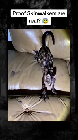 Proof skinwalkers are real? #skinwalker #animal #possessed #transformation #terrifying #cat #creepy #strange #scary #mystery #ghost #spooky 