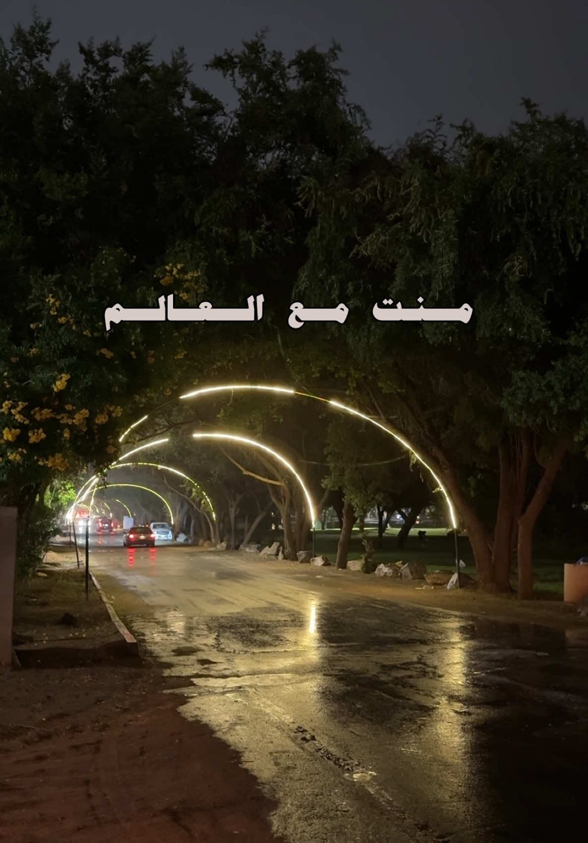 منت مع العالم ولا تقول لي ليه …                                             #محمد_بن_فطيس #explore #fyp  