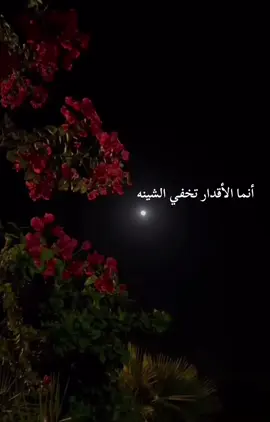 #اكسبلورexplore #تيك_توك #شيلات#الوليد_ال_عامر #تحزم_بالصبر#