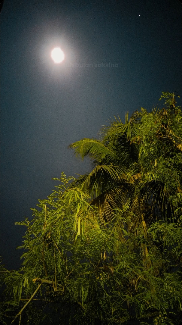 𝚗𝚢𝚎𝚛𝚎𝚍𝚎𝚝 𝚔𝚒𝚎𝚞 #jangjikamari #CapCut #fyp #liriklagusunda #nazminadia #overlaylyrics 