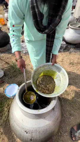 پالک کی دیکھ کبھی دیکھا ہے