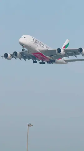Emirates A380 lands at Dubai Airport  #emirates #emiratesairlines #emiratesa380 #a380 #a380airbus #a380lovers #dubai #airport #landing #planes #planespotting #planespotter 