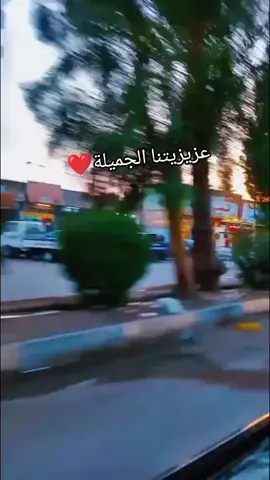 العزيزية#واسط #مشاهير_تيك_توك #الشعب_الصيني_ماله_حل😂😂 #fypシ 