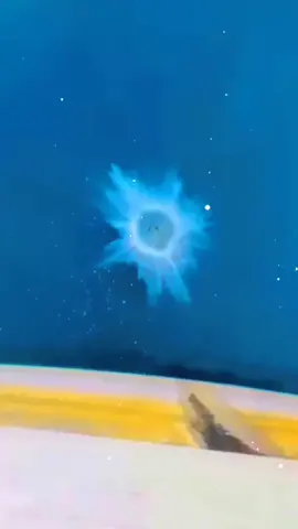 #CapCut #ahlla👆❣️ #ahlla👆❣️ #ahlla👆❣️ #ahlla👆❣️ #ahlla👆❣️💖💗💓😘😘😍🥰😊 #ahllah🕋🕋❤️mashallah❤️🤲 #pleaseunfreezmyaccoun📎⬅️🙏🙏 #foryou #foryou 