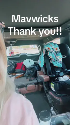Mavwicks for the win! Stinky  puppy! #mavwicks #mavwicksfragrance #CleanTok #cleancar #dogsoftiktok 