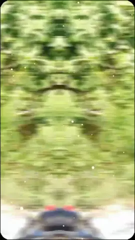 #سوريا #ادلب #سلقين_حارم @αℓĸαɒi اخوي الله يجمعني فيك يقلبي اشتقتلك 💔😓