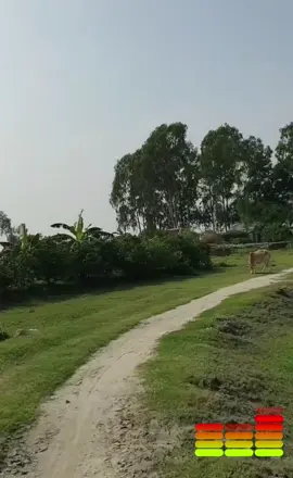 ৫৩৯৬#আমার_টার্গেট_সারা_বাংলাদেশ_কে_তুলে_ধরা #foreyou #জহিরুল_ইসলাম_রাজু #bdtiktokofficial #all_bangladesh🇧🇩_viral_video #আমাদের_গ্রামের_অর্পূব_দৃশ্য #প্রভাসি_ভাইদের_জন্য_গ্রামের_ভিডিও #bangladesh #বাংলাদেশি_ভাইরাল_টিকটক_ 