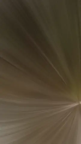 #CapCut 