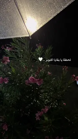 ليالي اكتوبر شارفت على الانتهاء#اكسبلور #عشوائيات #اكتوبر #جدة #ليالي_اكتوبر 