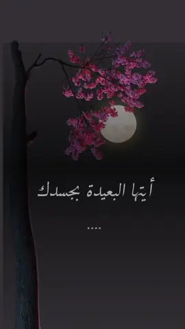 #walpaperaesthetic #fypシ #foryoupage #fyp #aesthetics #france#اقتباسات #خواطر 