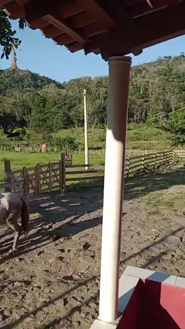 #roca #fazenda #lugar de paz#amotudoisso 