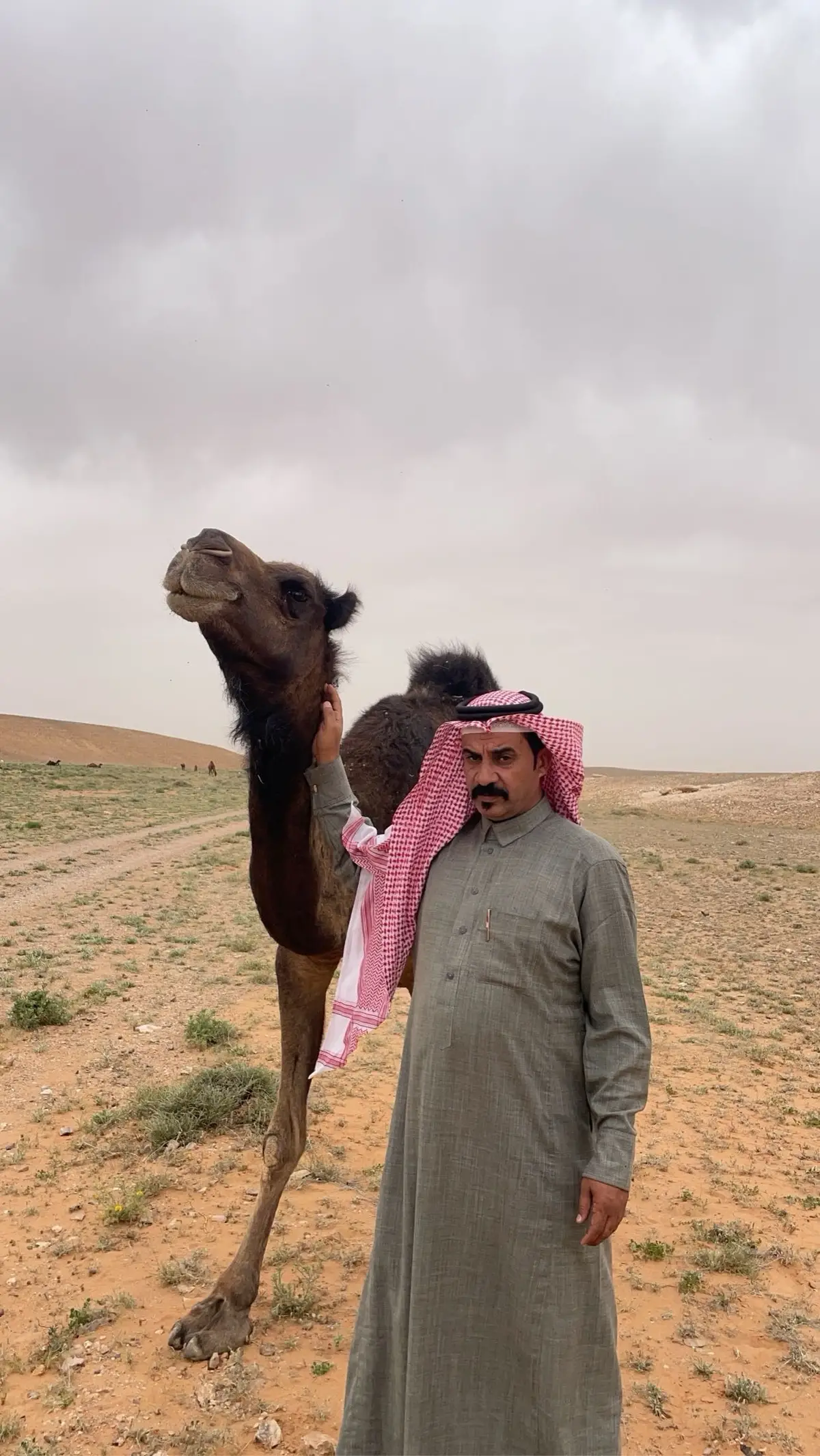 @ابو ثامر الحجايا (بن نومان) 