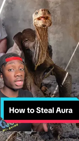 Go Diego Go 🏃🏿 #turtle#nature#funfact#aura