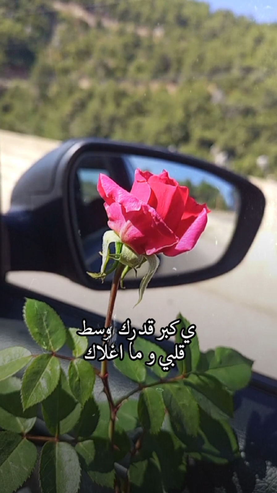 يا كبر قدرك وسط قلبي ❤️#الوليد_ال_عامر #ترند_جديد #شيلات_روعه_خواطر_ذوق #تصميم_فيديوهات🎶🎤🎬 #شيلات_فخمة❤️ #viral #fyp #lavendr81 #قوالب_شيلات_مع_الكلمات #CapCut 
