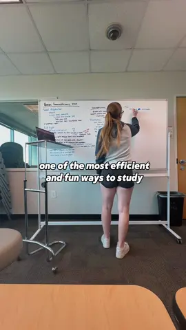 active recall on a whiteboard is one of my favorite study techniques 📗✏️📚📖 #medschool #medicalschool #medschooltok #medicalstudent #medstudents #medstudentlife #medinfluencer #study #studytok  